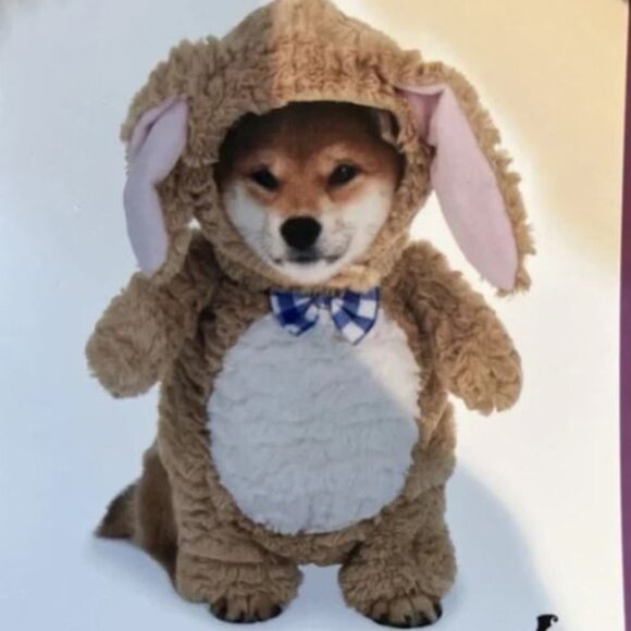 NWT Moonlight Manor Adorable Dog Bunny Costume Size L/G - Picture 1 of 9